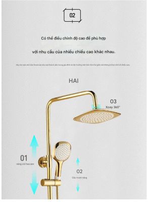 Bộ Vòi Sen Hiện Đại Mã 009 - Sen Mưa 8 Inch, Vòi Xuống Nước Xoay 180°, Hệ Thống Điều Chỉnh Cao Độ Linh Hoạt