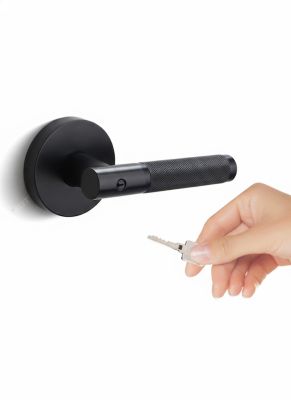 Khóa Cửa Tay Gạt Tròn Tối Giản Hợp Kim Kẽm Cao Cấp – Mã 044