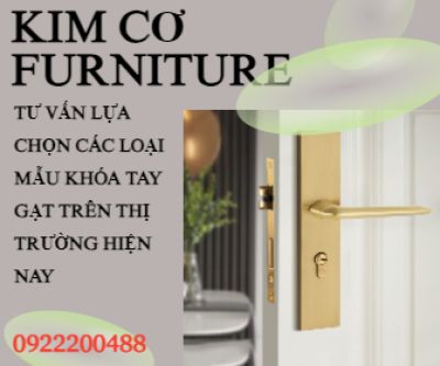 TƯ VẤN LỰA CHỌN CÁC LOẠI MẪU KHÓA TAY GẠT TRÊN THỊ TRƯỜNG HIỆN NAY